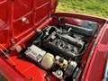 Alfa Romeo 2000 Berlina Rot - thumbnail 3