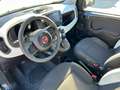 Fiat Panda Panda 1.0 FireFly S&S Hybrid Pandina Vert - thumbnail 9