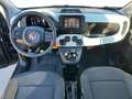 Fiat Panda Panda 1.0 FireFly S&S Hybrid Pandina Vert - thumbnail 13