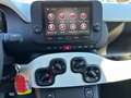 Fiat Panda Panda 1.0 FireFly S&S Hybrid Pandina Vert - thumbnail 18