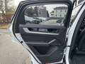 Porsche Cayenne Coupe III E-Hybrid PHEV Aut. / Luft / Bose / In... Weiß - thumbnail 13