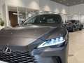 Lexus RX 350 450h+ Plug-in Hybrid Executive - IVA Esposta Grau - thumbnail 10
