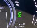 Lexus RX 350 450h+ Plug-in Hybrid Executive - IVA Esposta Grau - thumbnail 22