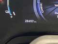 Lexus RX 350 450h+ Plug-in Hybrid Executive - IVA Esposta Grau - thumbnail 20