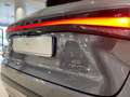 Lexus RX 350 450h+ Plug-in Hybrid Executive - IVA Esposta Grau - thumbnail 16