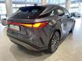 Lexus RX 350 450h+ Plug-in Hybrid Executive - IVA Esposta Grau - thumbnail 3