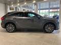 Lexus RX 350 450h+ Plug-in Hybrid Executive - IVA Esposta Grau - thumbnail 4