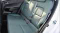 Kia Picanto 1.2 Spirit Launch Edition UVP 22.039 EUR Beige - thumbnail 14
