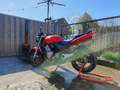Honda CB 600 F Hornet Rood - thumbnail 6
