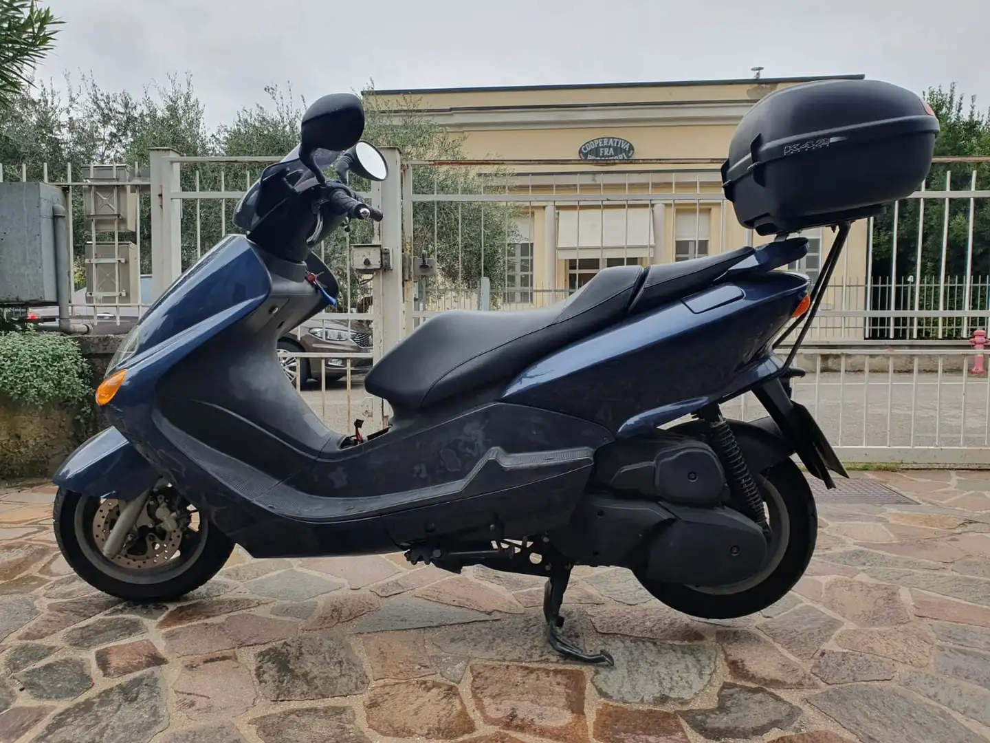 Yamaha Majesty 125 Bleu - 2