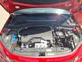 Citroen C3 PureTech Max 100PS 6-Gang-Manuell Rot - thumbnail 19