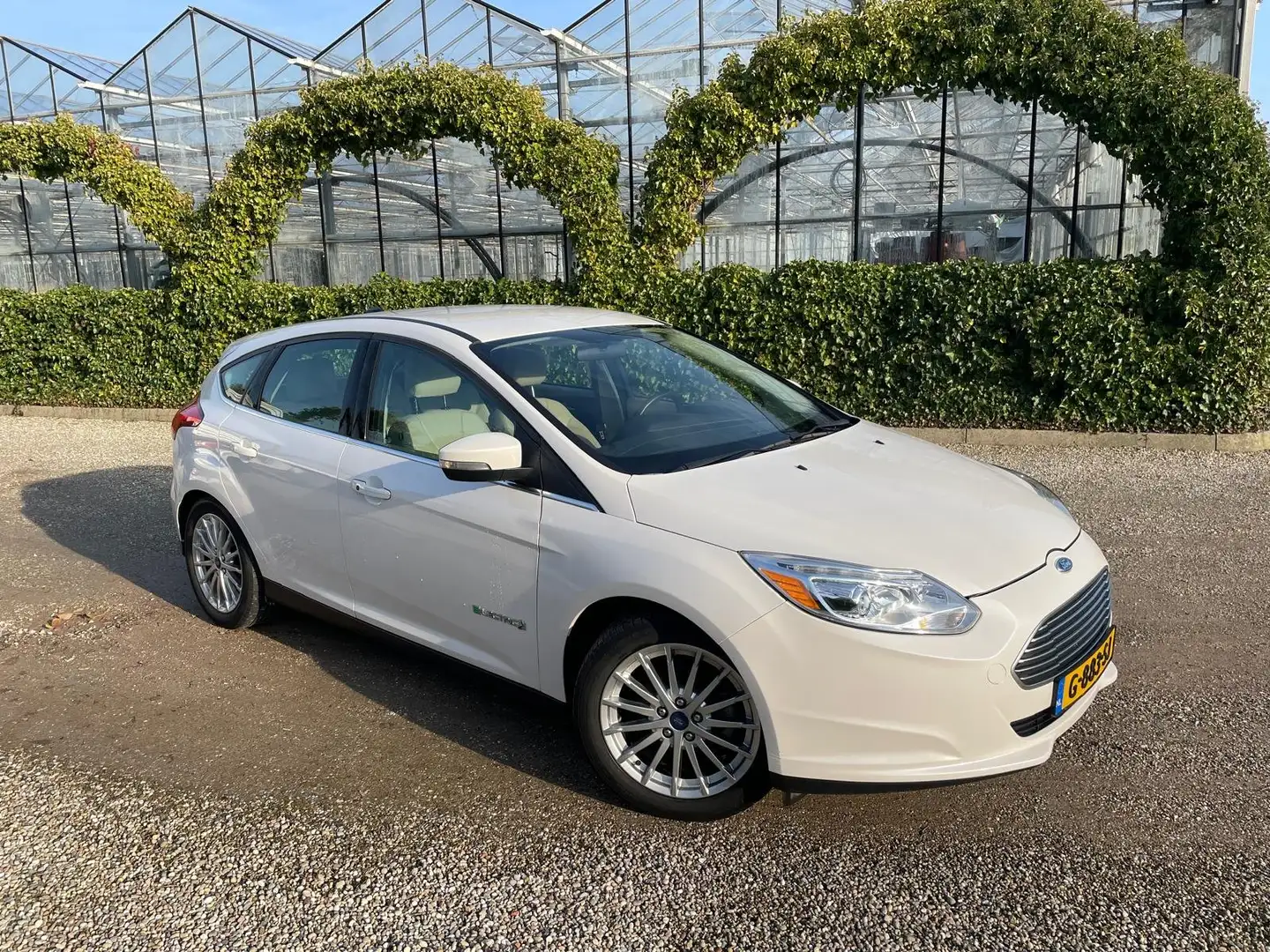 Ford Focus electric Bílá - 1