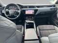 Audi e-tron 50 quattro ACC Keyless Kamera Teilleder Blau - thumbnail 12