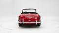 Triumph Sonstige TR250 + Overdrive '68 CH018I0 Rot - thumbnail 13