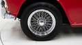 Triumph Sonstige TR250 + Overdrive '68 CH018I0 Rot - thumbnail 12