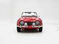 Triumph Sonstige TR250 + Overdrive '68 CH018I0 Rot - thumbnail 5