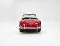 Triumph Sonstige TR250 + Overdrive '68 CH018I0 Rot - thumbnail 7