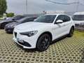 Alfa Romeo Stelvio Stelvio 2.2 t Business rwd 160cv auto Blanc - thumbnail 1