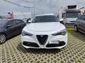 Alfa Romeo Stelvio Stelvio 2.2 t Business rwd 160cv auto Blanc - thumbnail 2