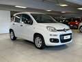 Fiat Panda 1.2 69cv E6 Easy Blanc - thumbnail 5