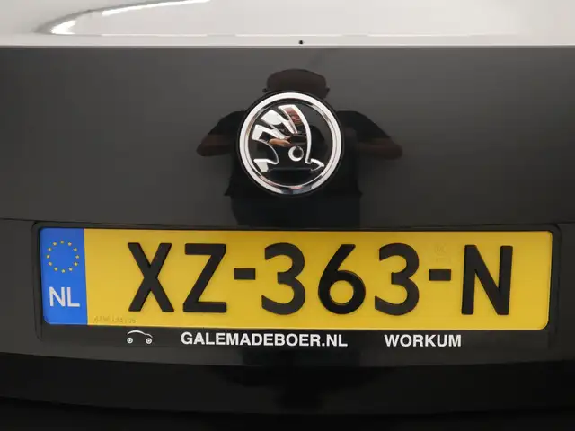 Skoda Octavia view 21