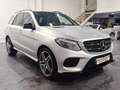 Mercedes-Benz GLE 250 250d 4Matic Aut. Gris - thumbnail 6