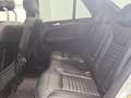 Mercedes-Benz GLE 250 250d 4Matic Aut. Gris - thumbnail 10