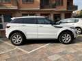 Land Rover Range Rover Evoque Range Rover Evoque 2.0 HSE Dynamic 180cv auto White - thumbnail 4