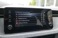 Skoda Kamiq Selection *RFK/VC/LED/TEMPO/PDC/AHK* Grau - thumbnail 17