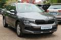 Skoda Kamiq Selection *RFK/VC/LED/TEMPO/PDC/AHK* Grau - thumbnail 1