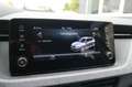 Skoda Kamiq Selection *RFK/VC/LED/TEMPO/PDC/AHK* Grau - thumbnail 18