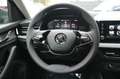 Skoda Kamiq Selection *RFK/VC/LED/TEMPO/PDC/AHK* Grau - thumbnail 12