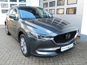SKY-D184 AWD Sports-Line  Matrix/Leder/MRCC/GSD/AH