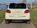 Porsche Cayenne S *CarPlay*ServiceNeu*ServoPlus*Mwst* Weiß - thumbnail 21