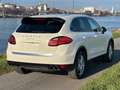 Porsche Cayenne S *CarPlay*ServiceNeu*ServoPlus*Mwst* Weiß - thumbnail 20
