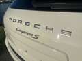 Porsche Cayenne S *CarPlay*ServiceNeu*ServoPlus*Mwst* Weiß - thumbnail 16