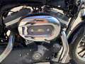 Harley-Davidson Sportster 883 R Blau - thumbnail 11