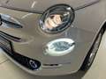 Fiat 500 Cabrio Collezione Sport Edition -Wenig Km Weiß - thumbnail 5