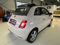 Fiat 500 Cabrio Collezione Sport Edition -Wenig Km Weiß - thumbnail 6