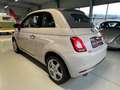 Fiat 500 Cabrio Collezione Sport Edition -Wenig Km Weiß - thumbnail 7