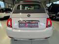 Fiat 500 Cabrio Collezione Sport Edition -Wenig Km Weiß - thumbnail 10