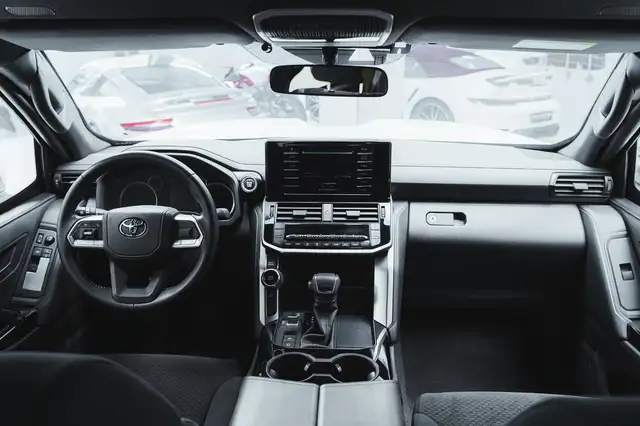 Toyota Land Cruiser view 10