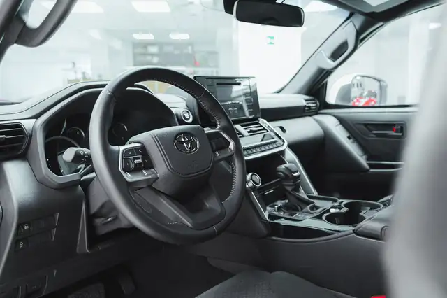 Toyota Land Cruiser view 9