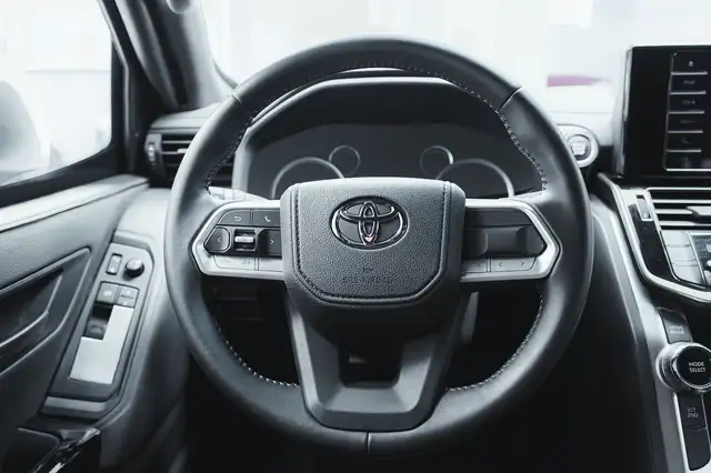 Toyota Land Cruiser view 8