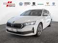 Skoda Octavia Combi 2.0 TDI Tour MATRIX-LED 360° Weiß - thumbnail 1
