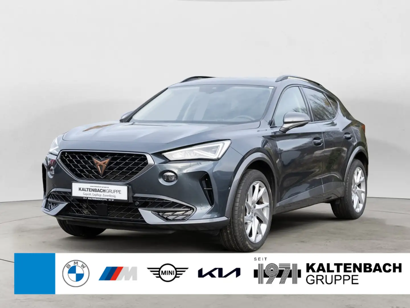 CUPRA Formentor 1.5 TSI LED ACC NAVI KAMERA SHZ PDC Grijs - 1