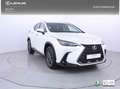 Lexus NX 450h+ Premium+ 4WD Blanc - thumbnail 29