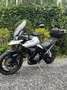 Triumph Tiger 900 Tiger 900 LOW Bianco - thumbnail 4