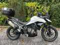 Triumph Tiger 900 Tiger 900 LOW Bianco - thumbnail 2