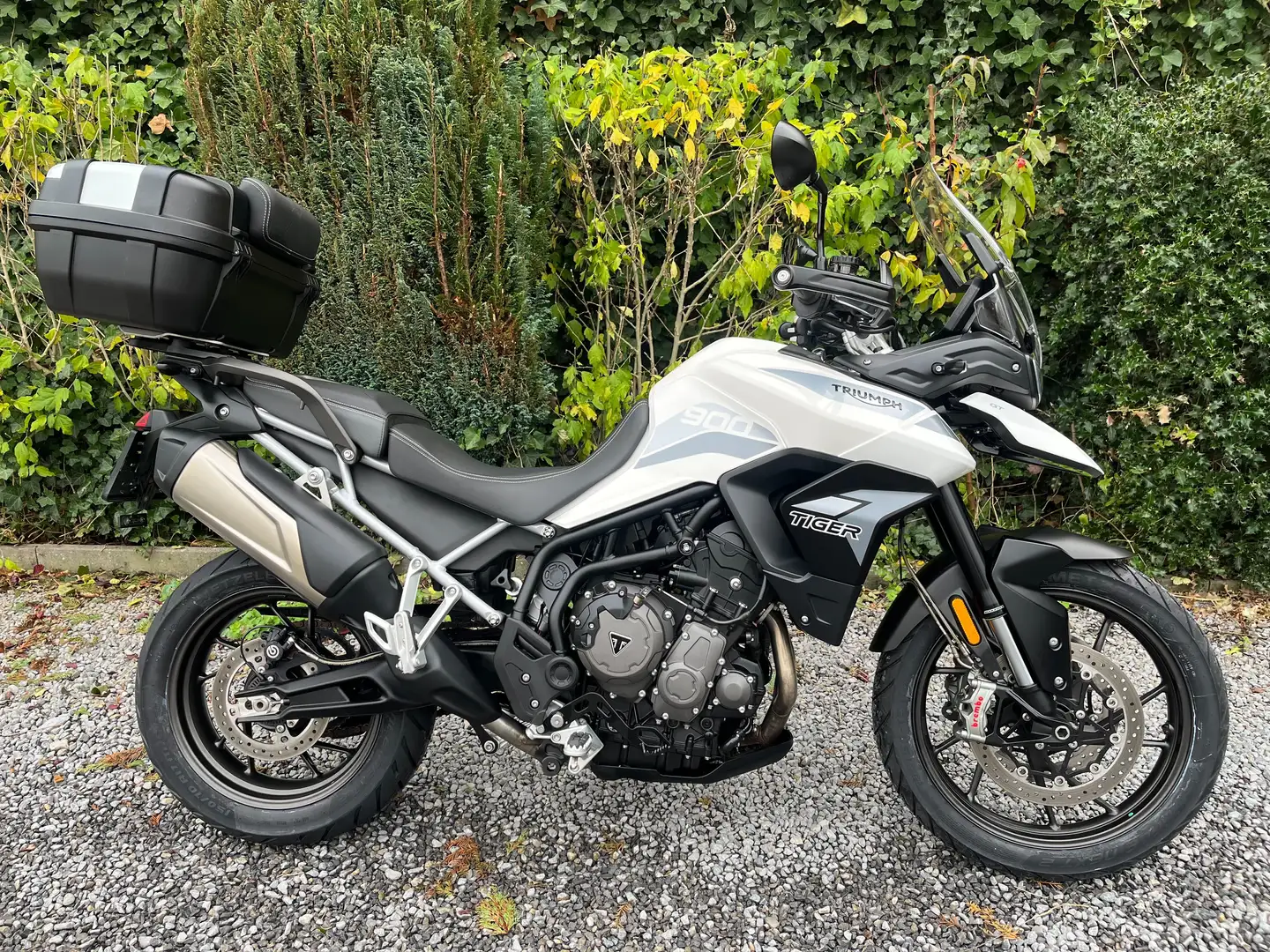 Triumph Tiger 900 Tiger 900 LOW Bianco - 2